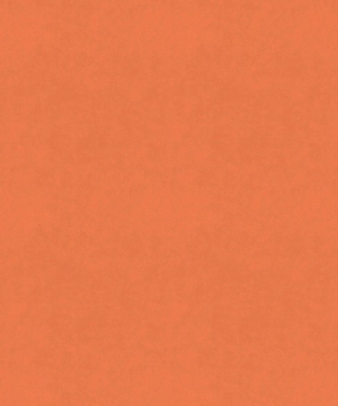 M9989 51505 by Barrow  Designer Fabric Barrow Gallery 100% Polyester Knit Pile Fabric China 30,000 Double Rubs </p><p>Repeat: Horizontal:  and Vertical:  57"  - Swanky Fabrics -