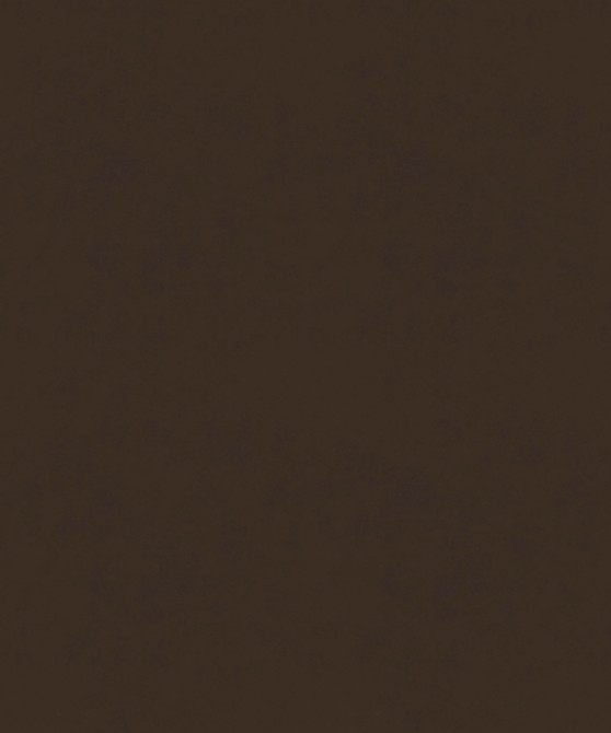 M9989 52209 by Barrow  Designer Fabric Barrow Gallery 100% Polyester Knit Pile Fabric China 30,000 Double Rubs </p><p>Repeat: Horizontal:  and Vertical:  57"  - Swanky Fabrics -