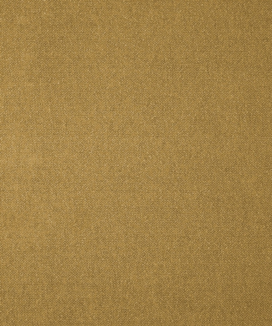 Genesis 01304 by Barrow  Designer Fabric Designer 100% Polyester China 33,000 Double Rubs </p><p>Repeat: Horizontal:  and Vertical:  56"  - Swanky Fabrics -