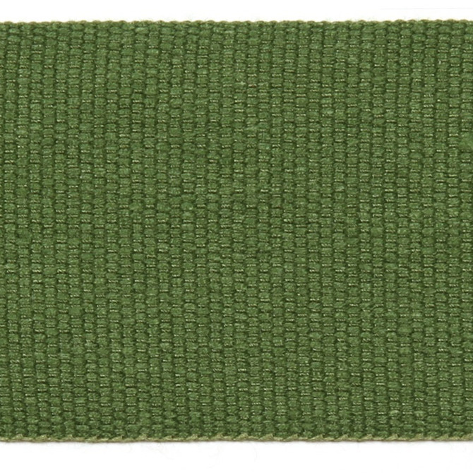 Le Lin 2 Tape Grasshopper by Europatex Designer Fabric Le Lin 63% Linen, 37% Rayon 2.00 inches - Swanky Fabrics -