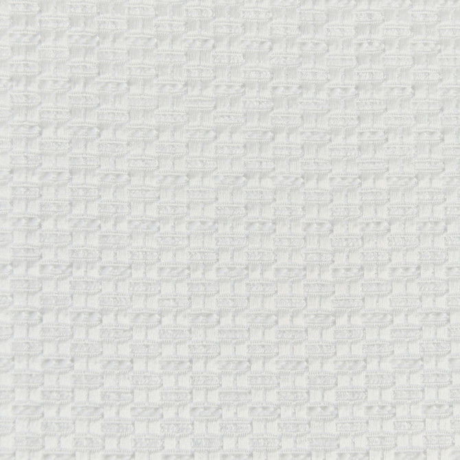 Jubilee Moscato by Europatex Designer Fabric Soiree & Jubilee 100% Polyester 0.00" 118.00 inches - Swanky Fabrics -