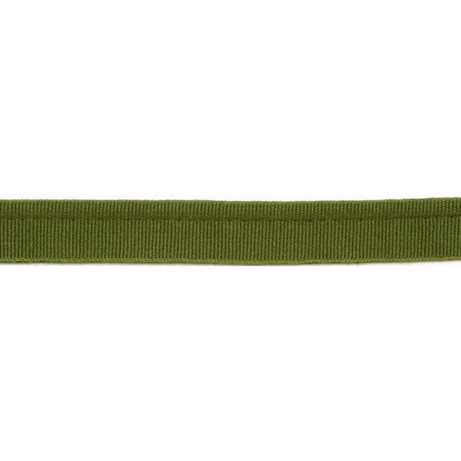 Versailles 1/4" Grosgrain Ribbon Lip Cord Olive by Europatex Designer Fabric Versailles 64% Rayon, 34% Cotton, 2% Polyester 0.25 inches - Swanky Fabrics -