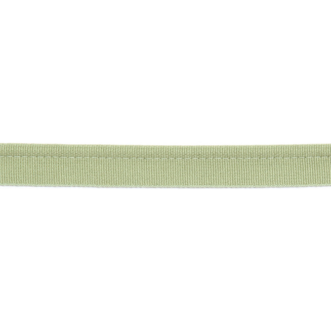 Versailles 1/4" Grosgrain Ribbon Lip Cord Pear by Europatex Designer Fabric Versailles 64% Rayon, 34% Cotton, 2% Polyester 0.25 inches - Swanky Fabrics -