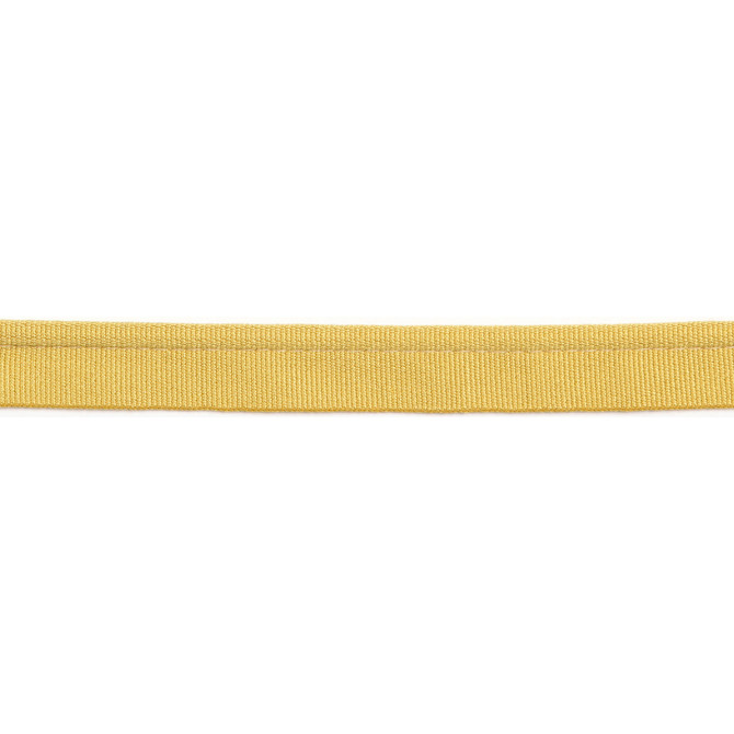 Versailles 1/4" Grosgrain Ribbon Lip Cord Antique by Europatex Designer Fabric Versailles 64% Rayon, 34% Cotton, 2% Polyester 0.25 inches - Swanky Fabrics -