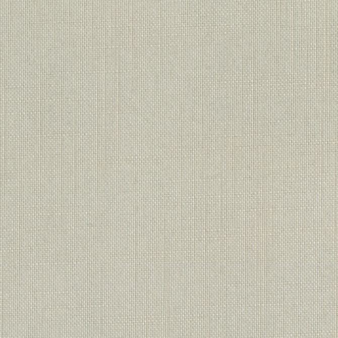 Sombre Sooty Kelp by Europatex Designer Fabric Sombre 100% Polyester 0.00 55.00 inches - Swanky Fabrics - Sombre Sooty Kelp by Europatex Designer Fabric Sombre 100% Polyester 0.00 55.00 inches - Swanky Fabrics -