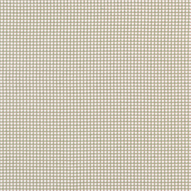 Darcy Sweet Pea W81916 by Thibaut Fabric Thibaut Fabric Darcy Sweet Pea W81916Fabric Companions </p><p>Repeat: V: 0.50" (1.27 cm) 54.00" (137.16 cm) - Fabric Carolina -