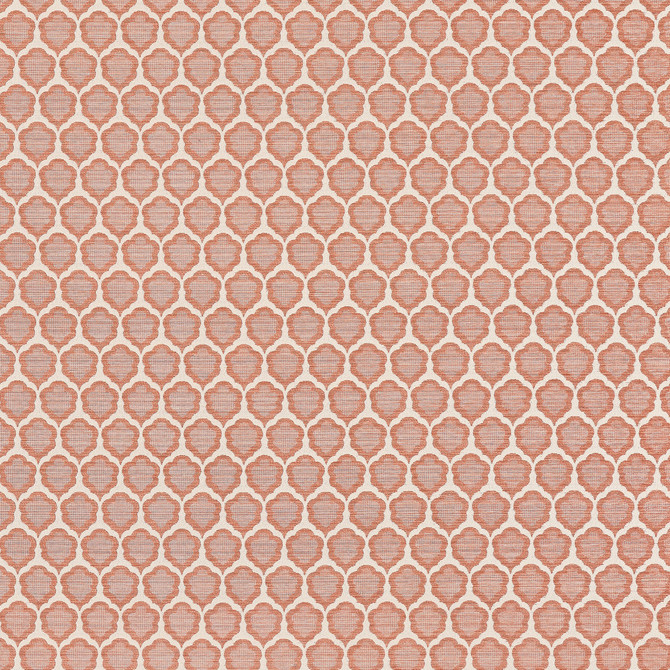 Genie Terracotta W81929 by Thibaut Fabric Thibaut Fabric Genie Terracotta W81929Fabric Companions </p><p>Repeat: V: 4.25" (10.80 cm) 54.00" (137.16 cm) - Fabric Carolina -