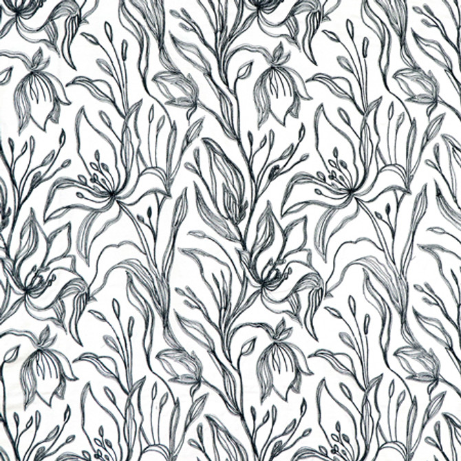 <p>Melody Raven by Carole Designer Fabric</p><p><strong>Required Minimum Quantity Purchase: 2 yards</strong></p><p>Book: Forget Me Knot</p><p>Content: Base: 100% Cotton Embr: 75% Cotton, 25% Rayon</p><p>Origin: </p><p>Performance: N/A</p><p>Repeat: 15 1/2" V, 13 1/2" H</p><p>Width: 52*"</p>