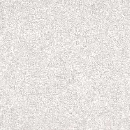 <p>Interior Zinc by Carole Designer Fabric</p><p><strong>Required Minimum Quantity Purchase: 2 yards</strong></p><p>Book: Quiet Luxury</p><p>Content: 72% Polyester, 28% Cotton</p><p>Origin: </p><p>Performance: N/A</p><p>Repeat: None</p><p>Width: 54""</p>