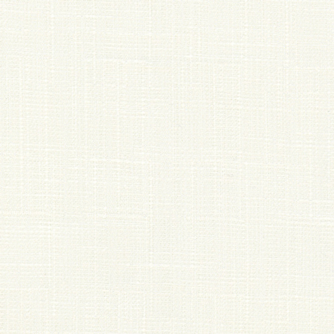 <p>This Very Moment Cloud by Carole Designer Fabric</p><p><strong>Required Minimum Quantity Purchase: 2 yards</strong></p><p>Book: Sea Salt</p><p>Content: 69% Polyester, 31% Cotton-Water Repellent</p><p>Origin: </p><p>Performance: 51,000 Wyzenbeek Double Rubs</p><p>Repeat: None</p><p>Width: 54""</p>