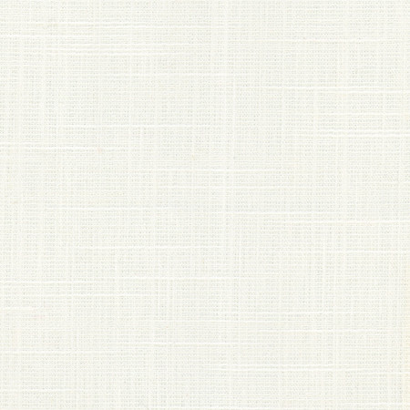 <p>Truth Be Told Ivory by Carole Designer Fabric</p><p><strong>Required Minimum Quantity Purchase: 2 yards</strong></p><p>Book: Sea Salt</p><p>Content: 56% Polyester, 37% Cotton, 7% Linen</p><p>Origin: </p><p>Performance: N/A</p><p>Repeat: None</p><p>Width: 54""</p>