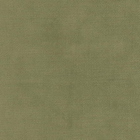 <p>Regal Touch Leaf by Carole Designer Fabric</p><p><strong>Required Minimum Quantity Purchase: 2 yards</strong></p><p>Book: Warm Embrace</p><p>Content: 100% Polyester</p><p>Origin: </p><p>Performance: 15,000 Wyzenbeek Double Rubs</p><p>Repeat: None</p><p>Width: 55""</p>