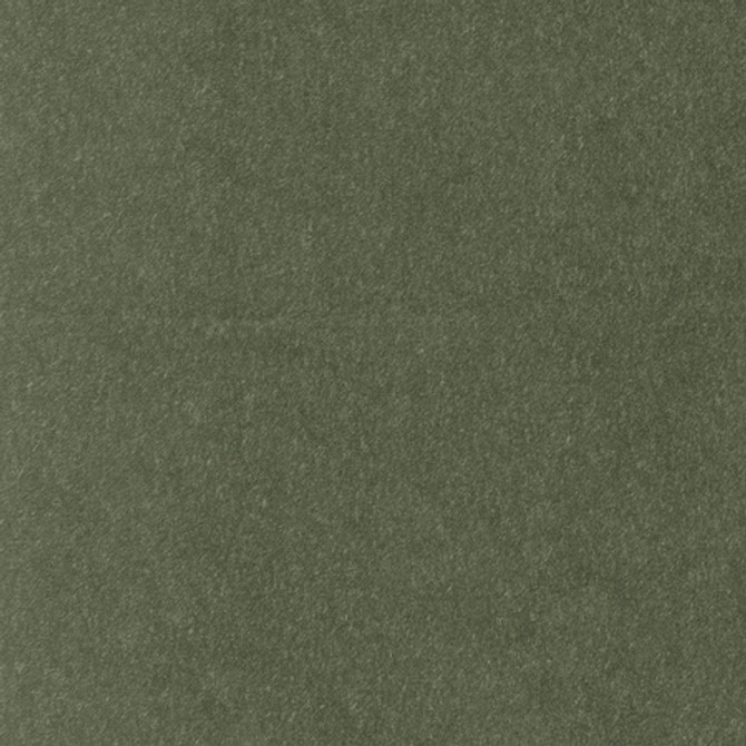 <p>Wolf Pesto by Carole Designer Fabric</p><p><strong>Required Minimum Quantity Purchase: 2 yards</strong></p><p>Book: Warm Embrace</p><p>Content: 87% Polyester, 13% Linen-Acrylic Backing</p><p>Origin: </p><p>Performance: 50,000 Wyzenbeek Double Rubs</p><p>Repeat: None</p><p>Width: 56 1/4""</p>