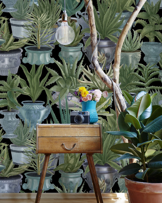 Echeveria by Mind the Gap Designer Wallpaper PREMIUM DESIGNER WALLPAPER COLLECTION Non-woven Made in Europe Paste the wall 3 rolls x 20.5 x 3.25 yards - Swanky Fabrics -