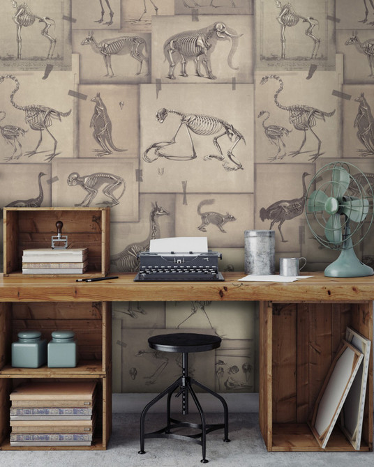 Zooarchaeology Wallpaper by Mind the Gap Designer Wallpaper PREMIUM DESIGNER WALLPAPER COLLECTION Non-woven Made in Europe Paste the wall 3 rolls x 20.5 x 3.25 yards - Swanky Fabrics -