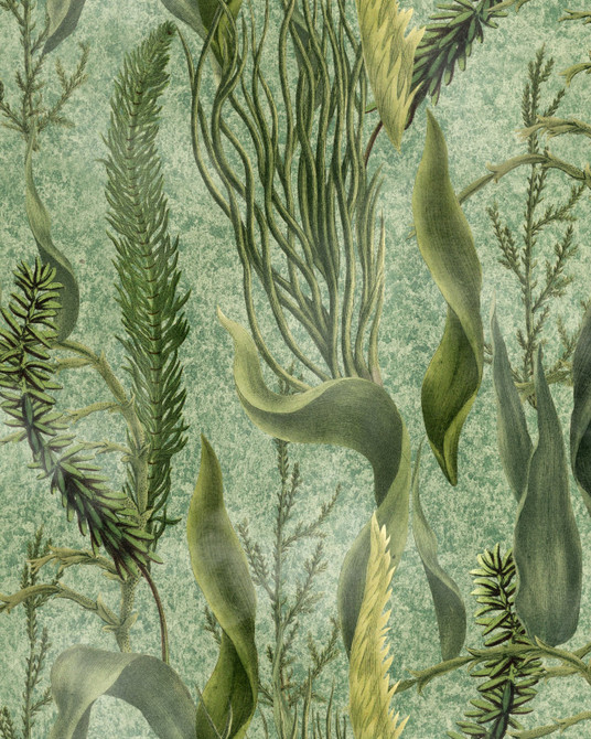 Aquatic Plants Wallpaper by Mind the Gap Designer Wallpaper THE WETLANDS Non-woven Made in Europe Paste the wall 1 roll x 20.47 x 9.8 yards - Swanky Fabrics -