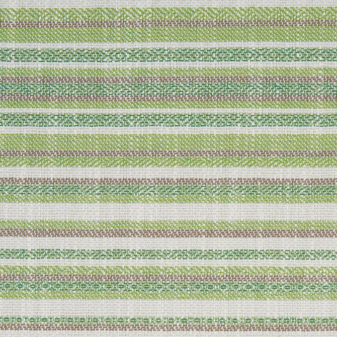 Dylan Indoor/Outdoor Green 81050 by Schumacher Designer Fabric Full Bloom - Swanky Fabrics -