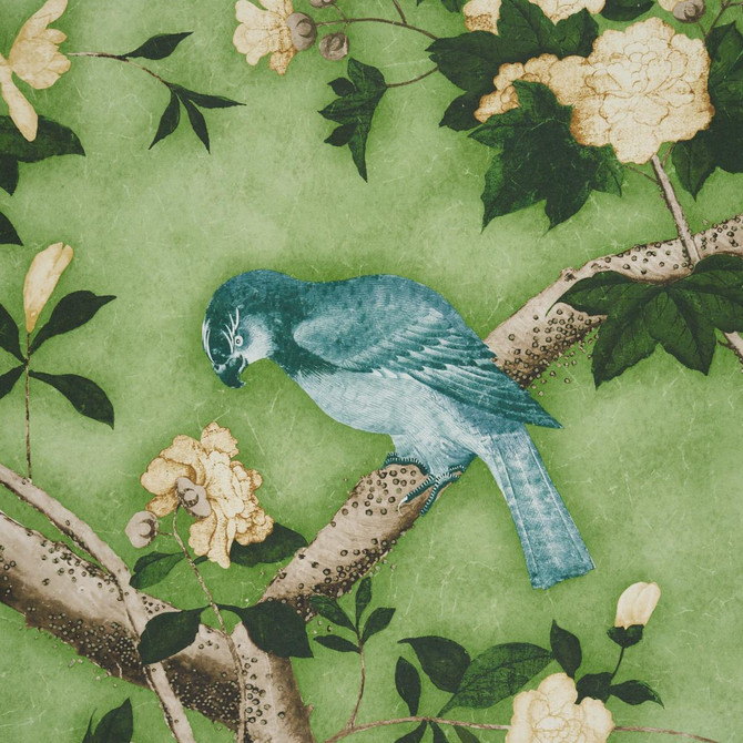 Les Oiseaux Apple Green 5015153 by Schumacher Designer Wallpaper Perennial Favorites 162.0" - Swanky Fabrics -