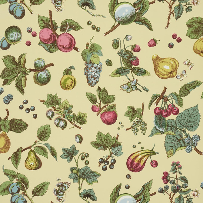 Berry Grove Butter 5015650 by Schumacher Designer Wallpaper Schumacher Classics 27.0" - Swanky Fabrics -