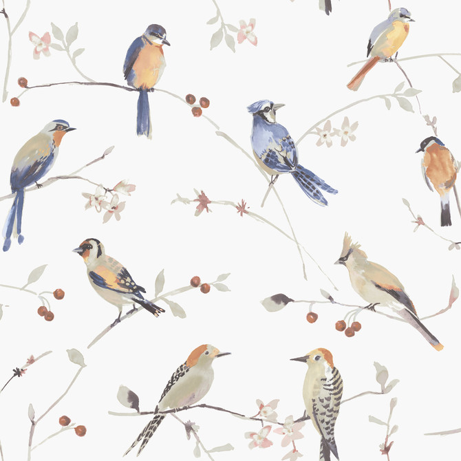 Birdsong Orange Trail Wallpaper by Chesapeake Designer Thoreau Covers about 56.4 square feet 20.5-in by 33-ft long roll Prepasted 20.5 - Swanky Fabrics -