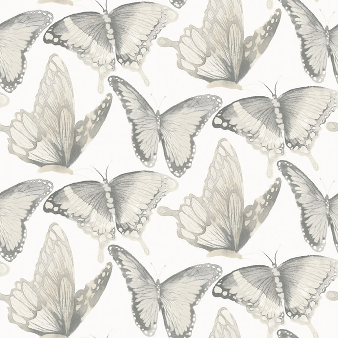 Janetta Grey Butterfly Wallpaper by Chesapeake Designer Thoreau Covers about 56.4 square feet 20.5-in by 33-ft long roll Prepasted 10.25 - Swanky Fabrics -