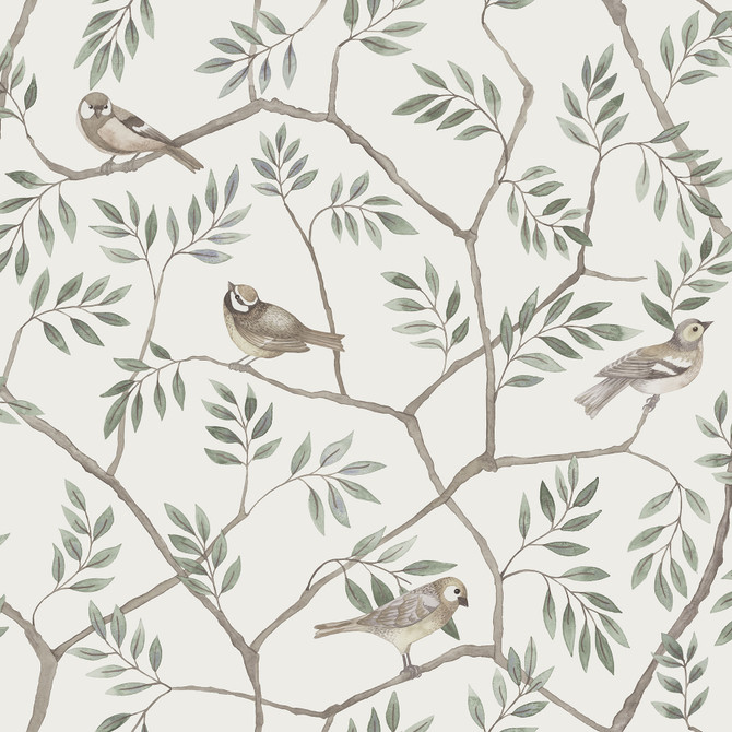 Crossbill Off White Branches Wallpaper by A-Street Prints Designer Spring Covers about 56.4 square feet 20.5-in by 33-ft long roll Unpasted 20.9 - Swanky Fabrics -