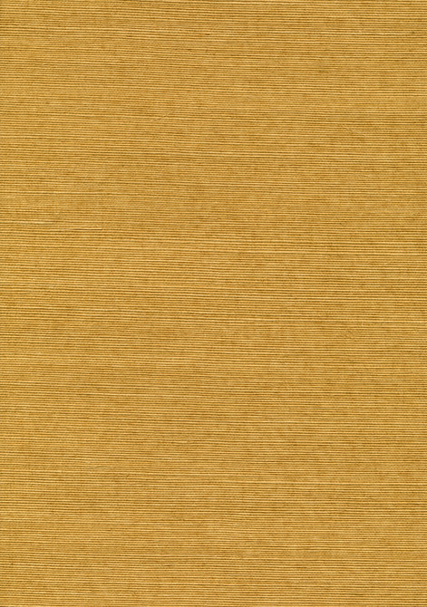 Chika Beige Sisal Grasscloth Wallpaper by Kenneth James Designer Jiangsu Grasscloth Covers about 72 square feet 36-in by 24-ft long roll Unpasted 0 - Swanky Fabrics -