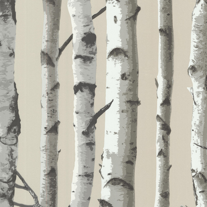Irvin Grey Birch Tree Wallpaper by Brewster Designer Bath Bath Bath IV Covers about 56.4 square feet 20.5-in by 33-ft long roll Unpasted 21 - Swanky Fabrics -