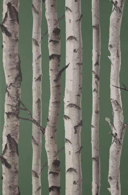 Chester Dark Green Birch Trees Wallpaper by Fine Decor Designer Medley Covers about 56.4 square feet 20.5-in by 33-ft long roll Unpasted 20.9 - Swanky Fabrics -
