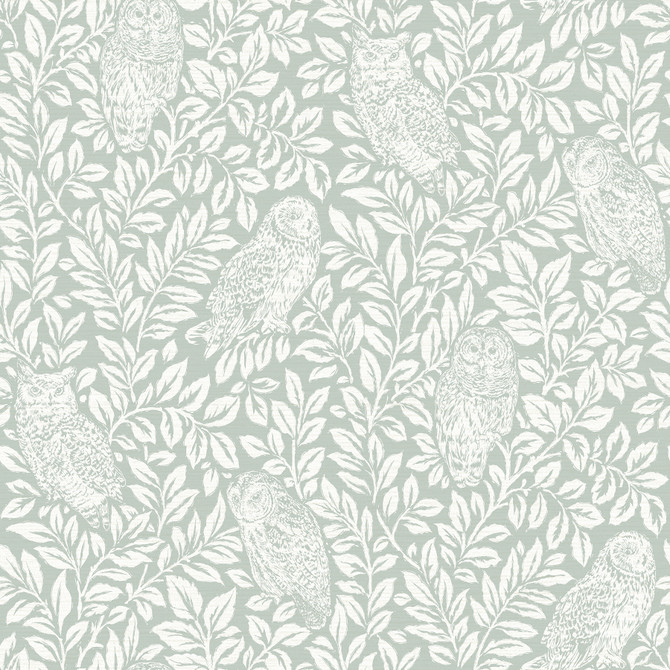 Parliament Teal Owl Wallpaper by Chesapeake Designer Farmhouse Covers about 56.4 square feet 20.5-in by 33-ft long roll Prepasted 20.9 - Swanky Fabrics - Parliament Teal Owl Wallpaper by Chesapeake Designer Farmhouse Covers about 56.4 square feet 20.5-in by 33-ft long roll Prepasted 20.9 - Swanky Fabrics -