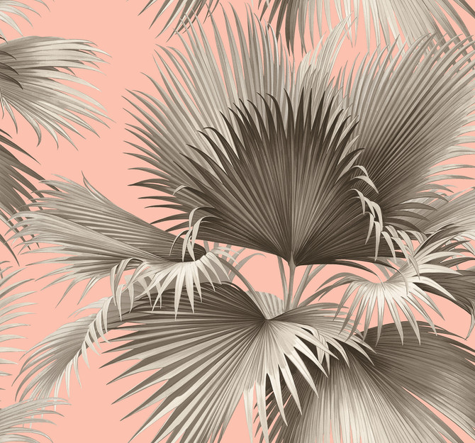 Summer Palm Blush Tropical Wallpaper by A-Street Prints Designer Newport Covers about 60.8 square feet 27-in by 27-ft long roll Unpasted 25.2 - Swanky Fabrics -