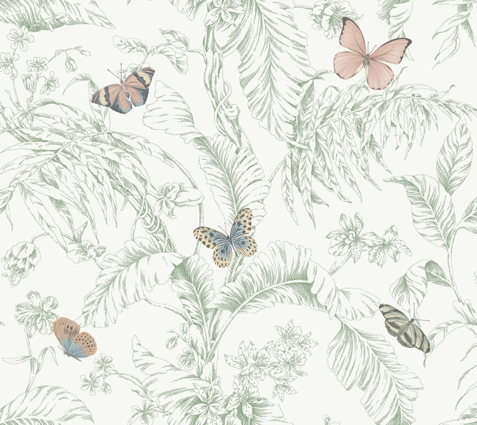 Papillon Blush Wallpaper by York Wallcoverings Designer Toile Resource Library Covers about 60.8 square feet 27-in by 27-ft long roll Prepasted 24 - Swanky Fabrics -