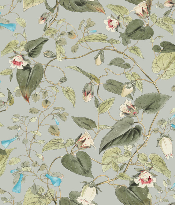 Moon Flower Dove Wallpaper by York Wallcoverings Designer Blooms Covers about 56.4 square feet 20.5-in by 33-ft long roll Unpasted 24 - Swanky Fabrics -