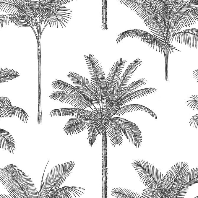 Taj Charcoal Palm Trees Wallpaper by ESTA Home Designer Design Department Covers about 57.5 square feet 20.9-in by 33-ft long roll Unpasted 20.9 - Swanky Fabrics - Taj Charcoal Palm Trees Wallpaper by ESTA Home Designer Design Department Covers about 57.5 square feet 20.9-in by 33-ft long roll Unpasted 20.9 - Swanky Fabrics -