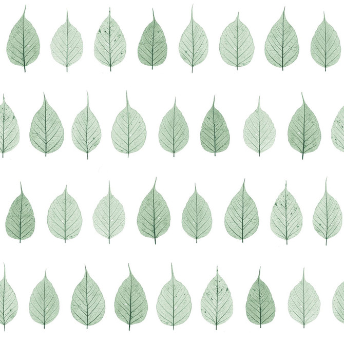 Greenhouse Green Leaves Wallpaper by ESTA Home Designer Design Department Covers about 56.4 square feet 20.5-in by 33-ft long roll Unpasted 20.9 - Swanky Fabrics -