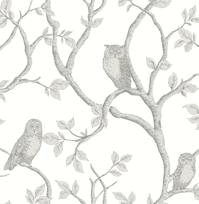 Enchanted Forest Grey Owl & Tree Wallpaper by Brewster Designer Brewster Essentials Covers about 56.4 square feet 20.5-in by 33-ft long roll Unpasted 20.87 - Swanky Fabrics -