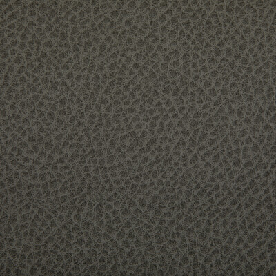 Kravet Contract - Upholstery - WOOLF.1121.0 - Upholstery - POLYURETHANE - 95%;SILICONE - 5% - Taiwan </p><p>Repeat: H: , V: 27.5 21 - My Fabric Connection -