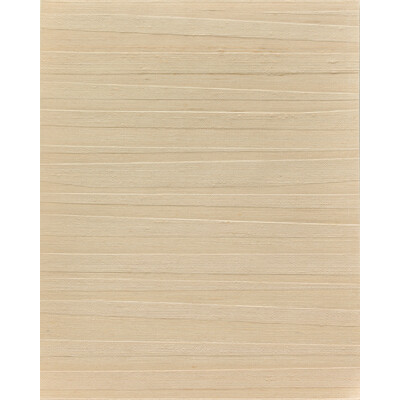 Winfield Thybony - Wallcovering - WNS5538.WT.0 - Wallcovering - SILK - 92%;POLYESTER - 8% - Netherlands </p><p>Repeat: H: , V: 27.5 21 - My Fabric Connection -