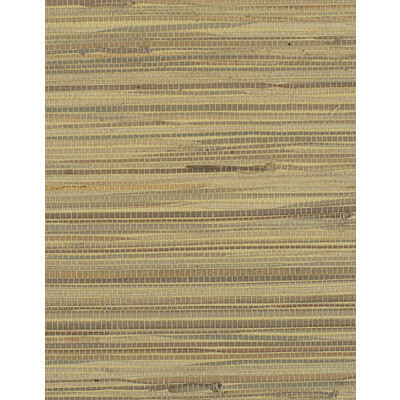 Winfield Thybony - Wallcovering - WIW2559.WT.0 - Wallcovering - GRASS - 100% - United States </p><p>Repeat: H: , V: 27.5 21 - My Fabric Connection -