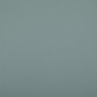 Kravet Contract - Upholstery - RAND.113.0 - Upholstery - POLYURETHANE - 100% - China </p><p>Repeat: H: , V: 27.5 21 - My Fabric Connection -