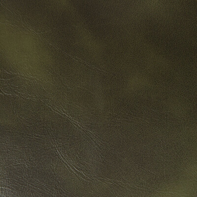 Kravet Contract - Upholstery - RAMBLER.30.0 - Upholstery - PVC - ARTIFICIAL LEATHER - 100% - China </p><p>Repeat: H: , V: 27.5 21 - My Fabric Connection -