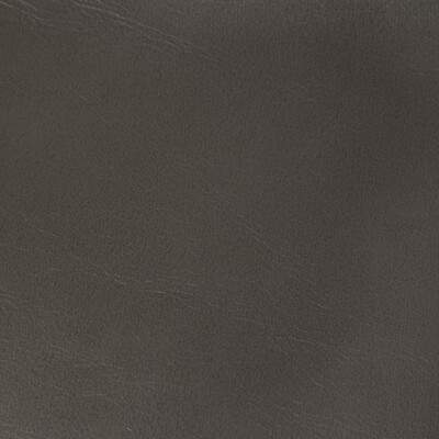 Kravet Contract - Upholstery - RAMBLER.21.0 - Upholstery - PVC - ARTIFICIAL LEATHER - 100% - China </p><p>Repeat: H: , V: 27.5 21 - My Fabric Connection -
