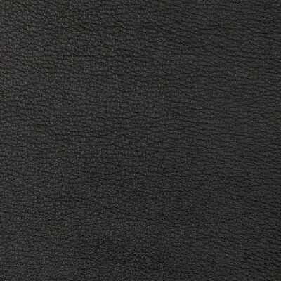 Kravet Design - Upholstery - L-SONORAN.CHARCOAL.0 - Upholstery - LEATHER - 100% - Mexico </p><p>Repeat: H: , V: 27.5 21 - My Fabric Connection -