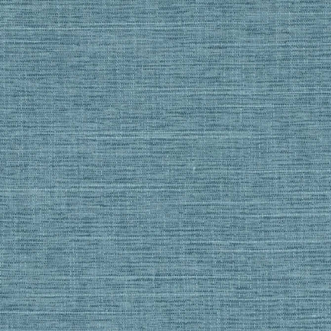 Big Thinker Lake by Carole Designer Fabric Power Play 100% Polyester N/A None 55" - Swanky Fabrics -