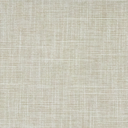 Big Thinker Oyster by Carole Designer Fabric Power Play 100% Polyester N/A None 55" - Swanky Fabrics -