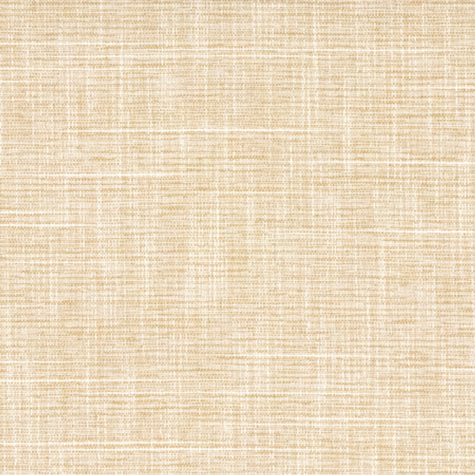 Big Thinker Raffia by Carole Designer Fabric Power Play 100% Polyester N/A None 55" - Swanky Fabrics -