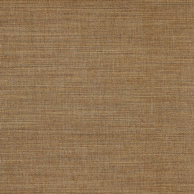 Boardroom Trail by Carole Designer Fabric Power Play 100% IFR Hybrid Polyester 25,000 Wyzenbeek Double Rubs None 54" - Swanky Fabrics -