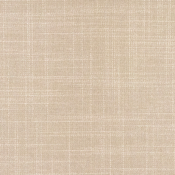 Build Upon Greige by Carole Designer Fabric Power Play 100% Polyester N/A None 55" - Swanky Fabrics -