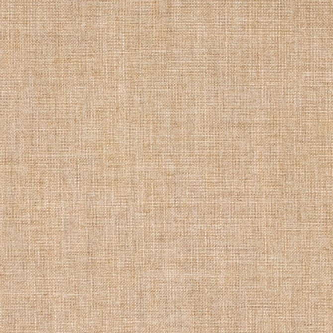 Business Casual Beige by Carole Designer Fabric Power Play 100% Polyester 100,000 Wyzenbeek Double Rubs None 54" - Swanky Fabrics -