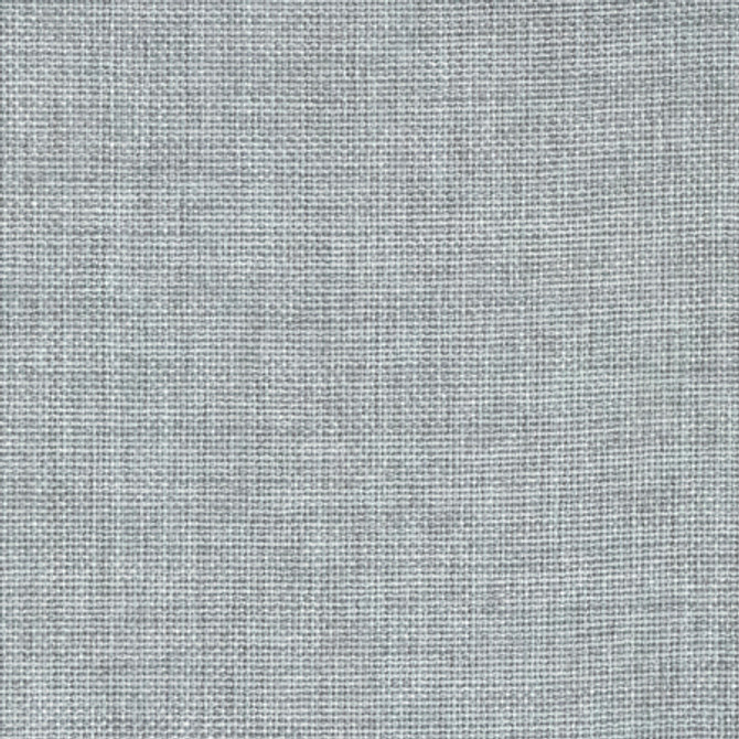 Director's Cut Powder by Carole Designer Fabric Power Play 100% Polyester N/A None 55" - Swanky Fabrics -